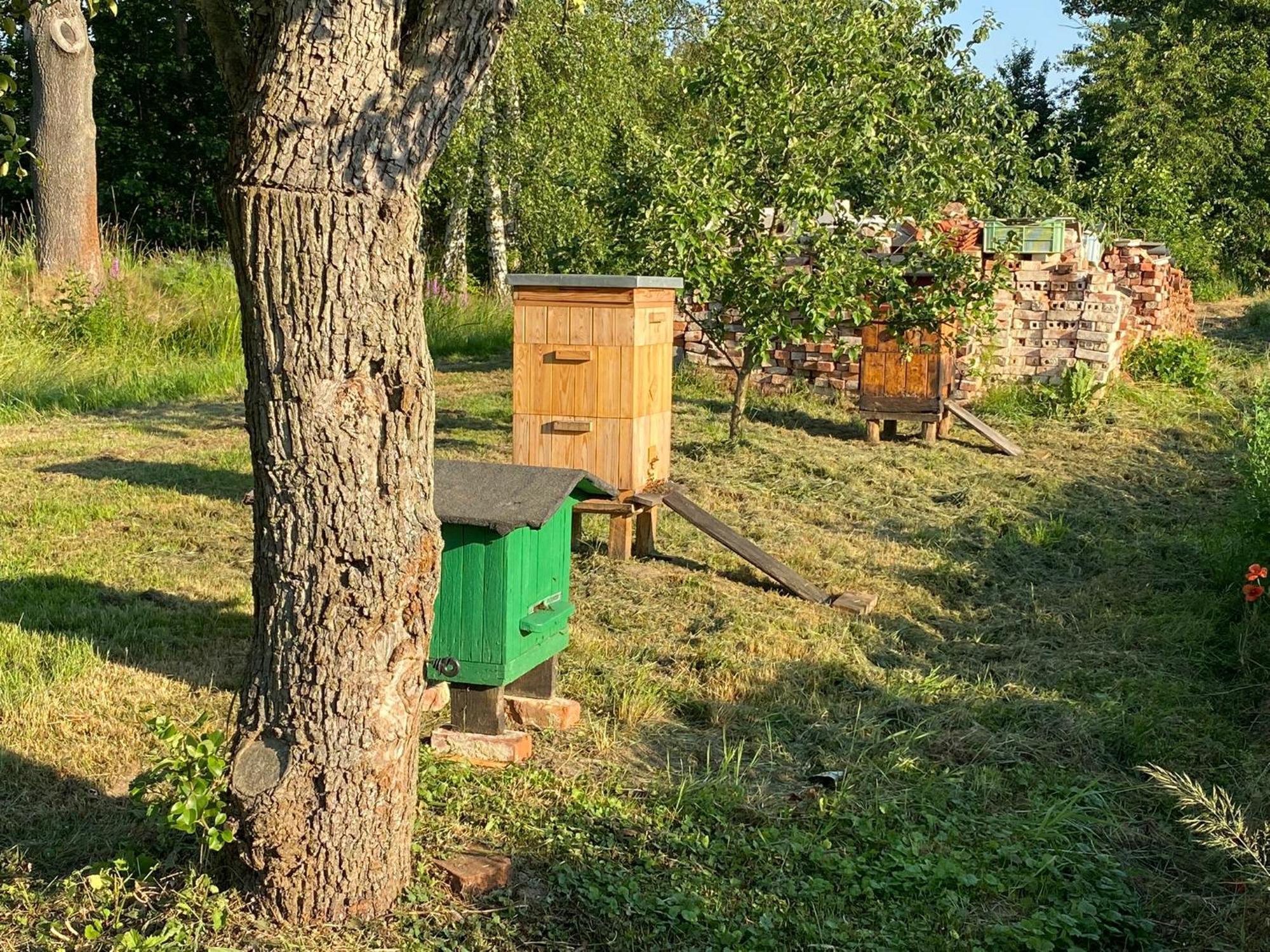 Agroturystyka Borow Prusice Ngoại thất bức ảnh